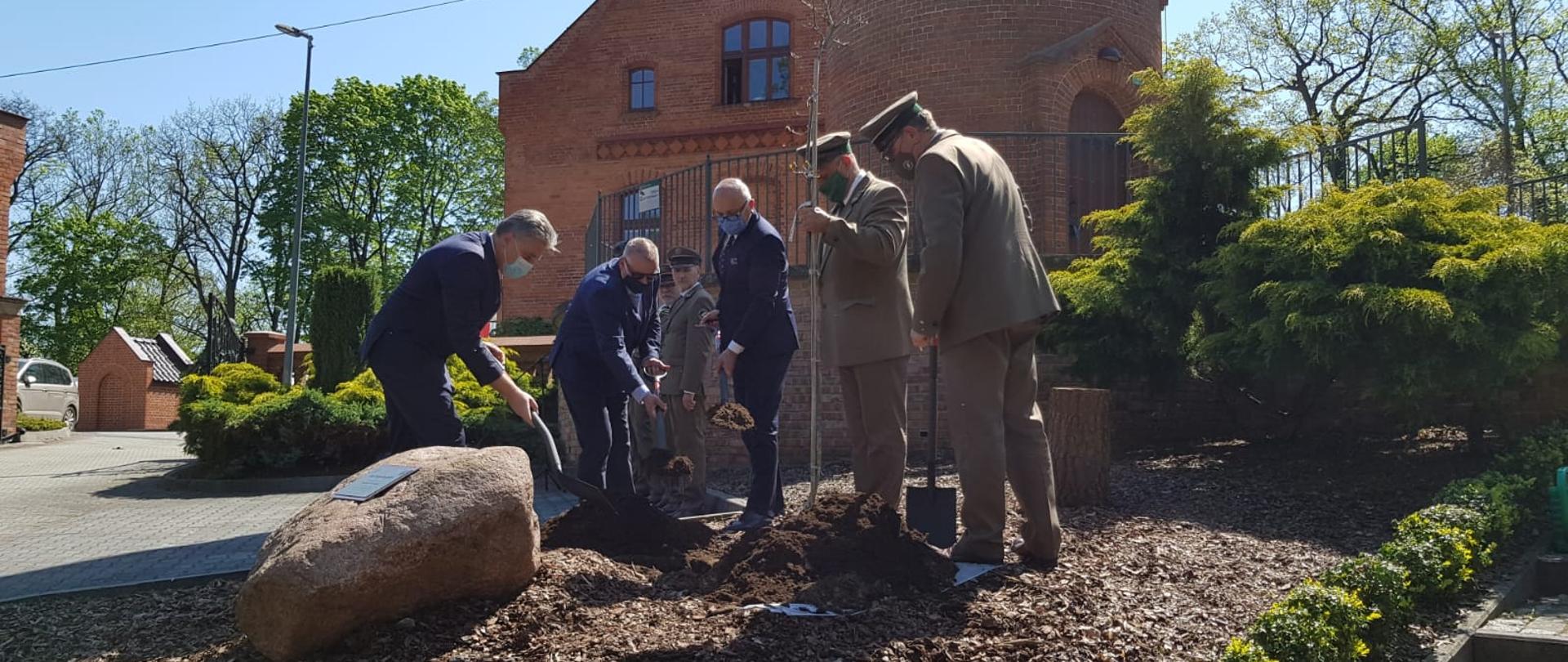 Ludzie stoją w rzędzie Uroczystość sadzenia Dębu Niepodległości sadzenie drzewa