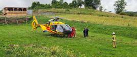 zielona łąka, stoi śmigłowiec LPR, strażak, policjanci i ratownicy medyczni