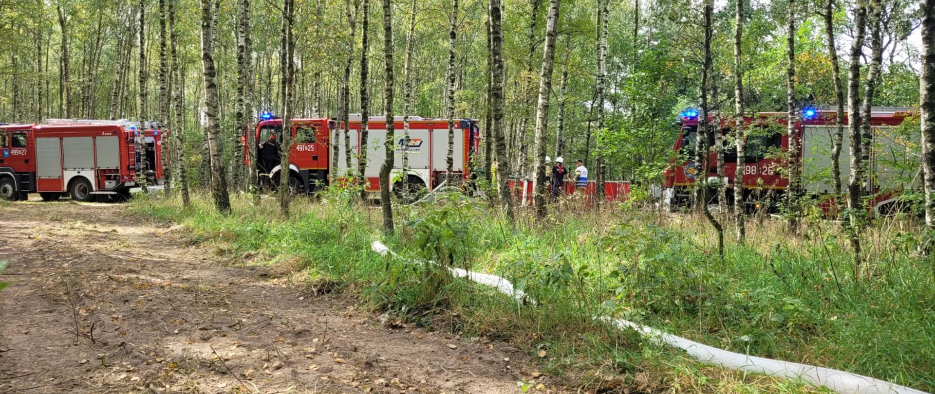 Na zdjęciu strażacy podczas ćwiczeń