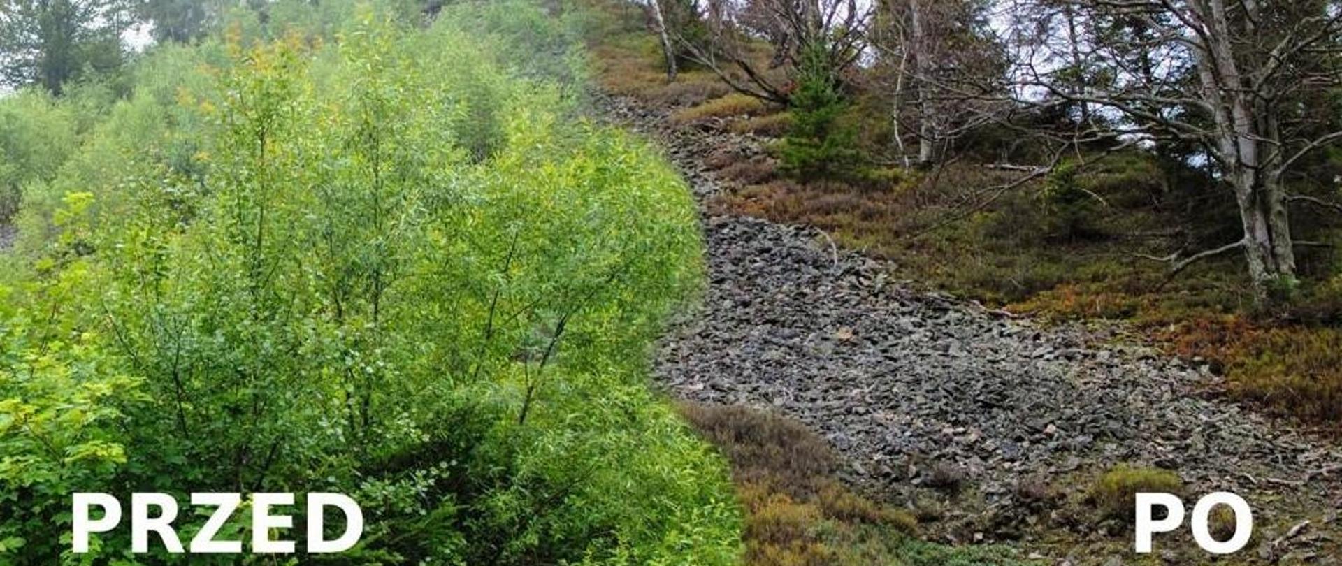 Działania ochronne w rezerwacie przyrody Gołoborze