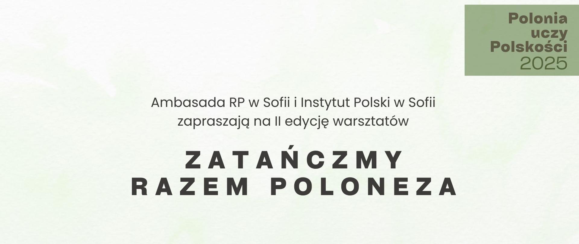 Pasek_na_strone_polonez
