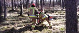 Zdjęcie przedstawia strażaków podczas ścinki drzewa
