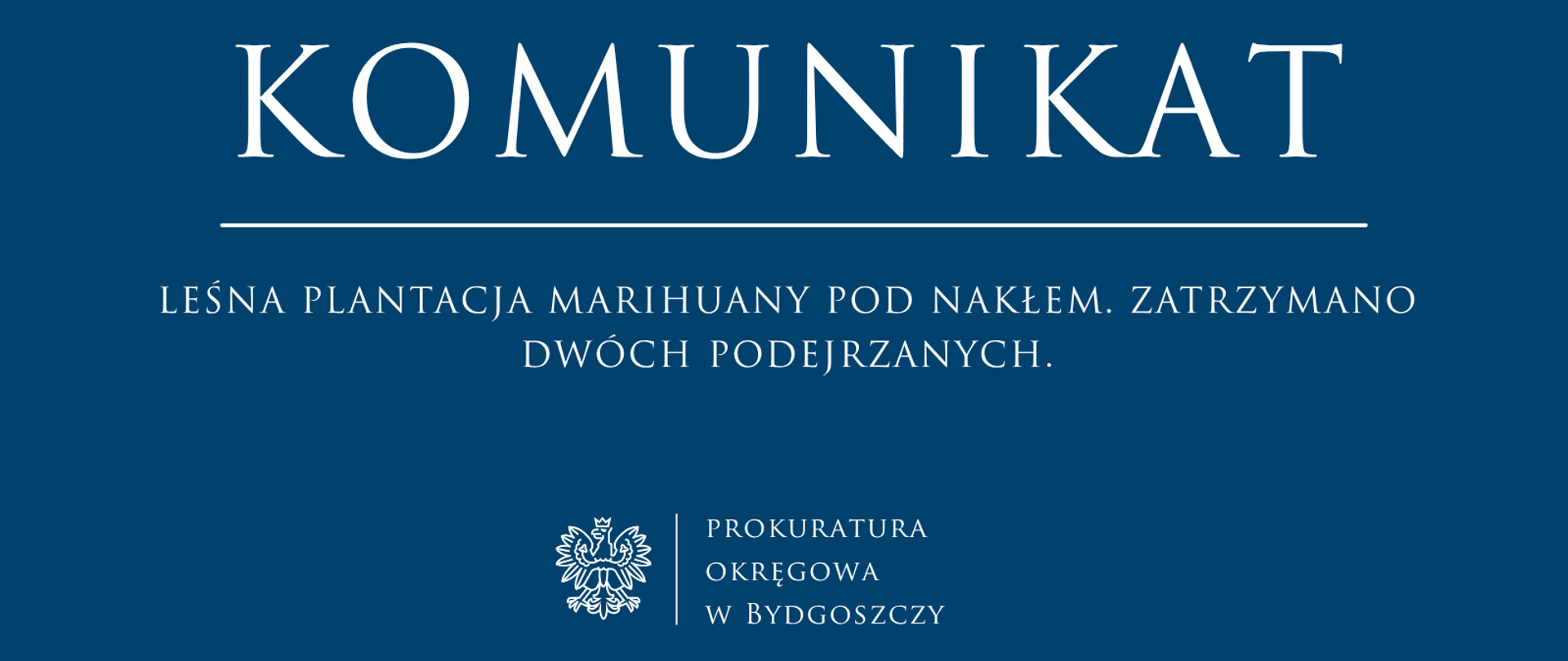 Leśna plantacja marihuany pod Nakłem. Zatrzymano dwóch podejrzanych.