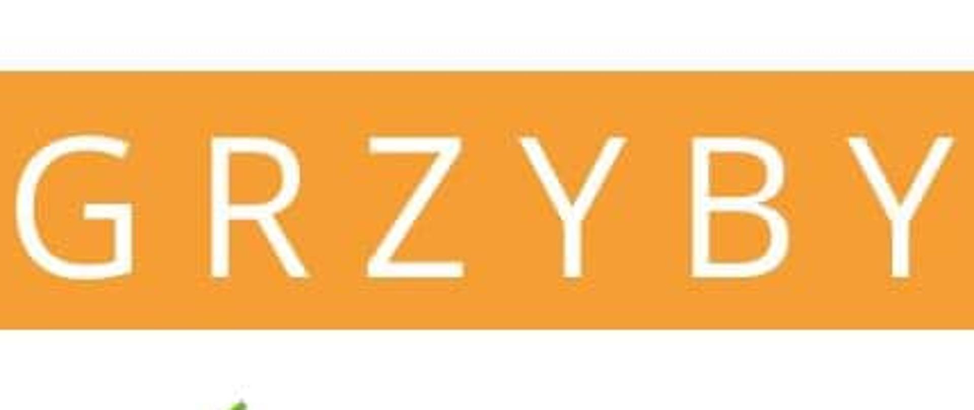 Grzyby_-_Fakty_i_mity