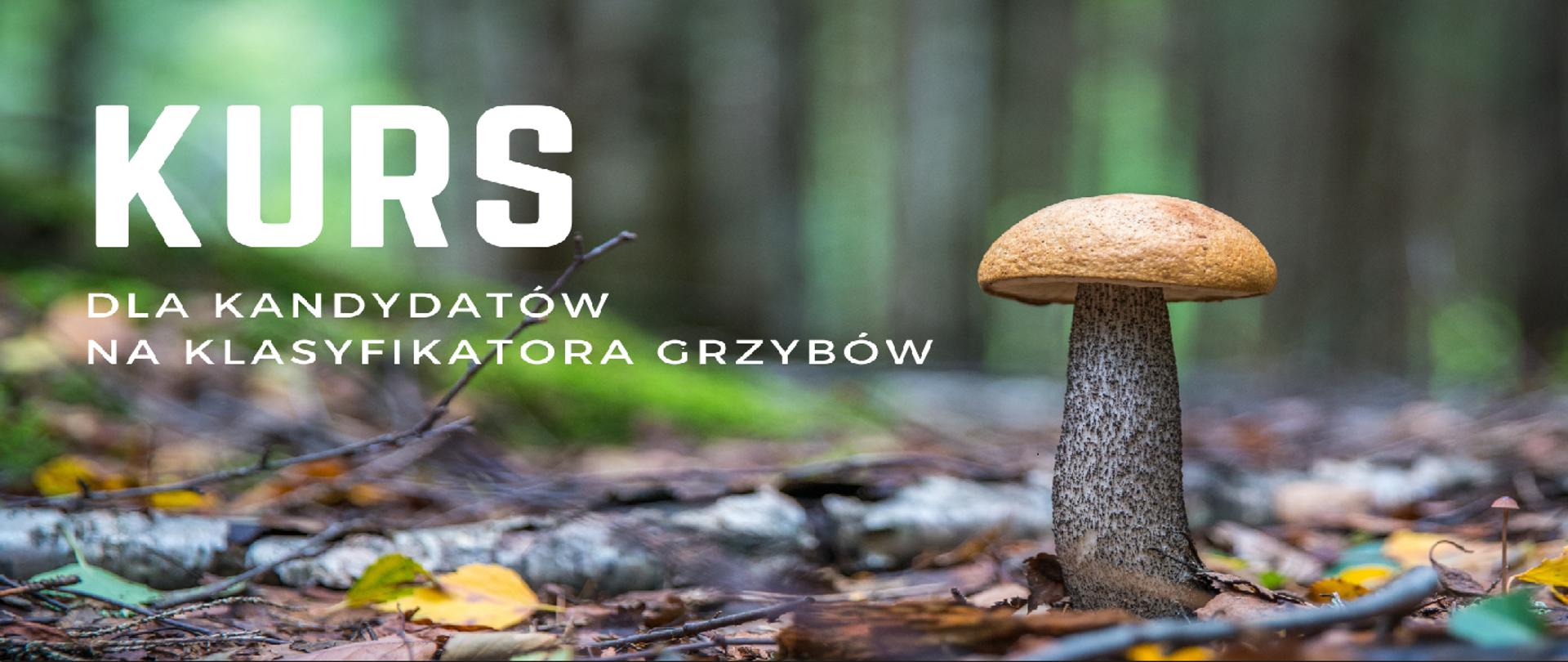 Informacja_dot_kursu_na_klasyfikatora_grzybów