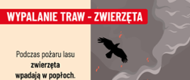Grafika kampanii przeciw wypalaniu traw przedstawiająca zwierzęta zagrożone pożarem lasu oraz informację o niebezpieczeństwie, jakie ogień stanowi dla dzikiej fauny.