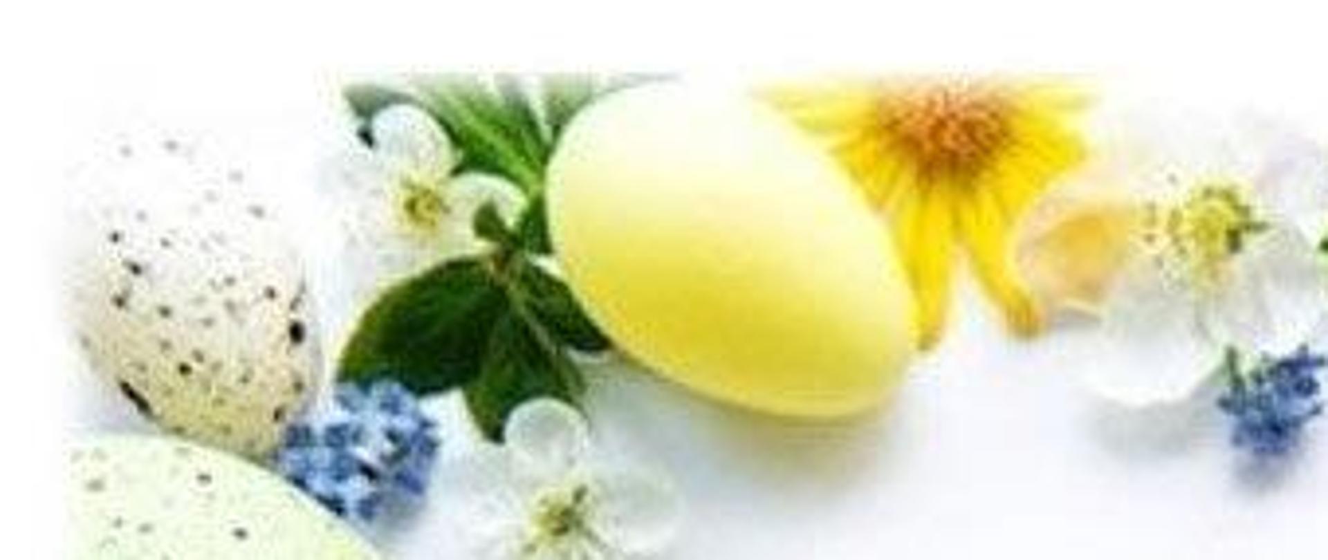 Przed nami Święta Wielkiej Nocy. Z tej okazji w imieniu własnym oraz współpracowników składam najserdeczniejsze życzenia zdrowych rodzinnych świąt w atmosferze domowego ciepła. Komendant Powiatowy PSP w Otwocku st. bryg. Michał Gigoła