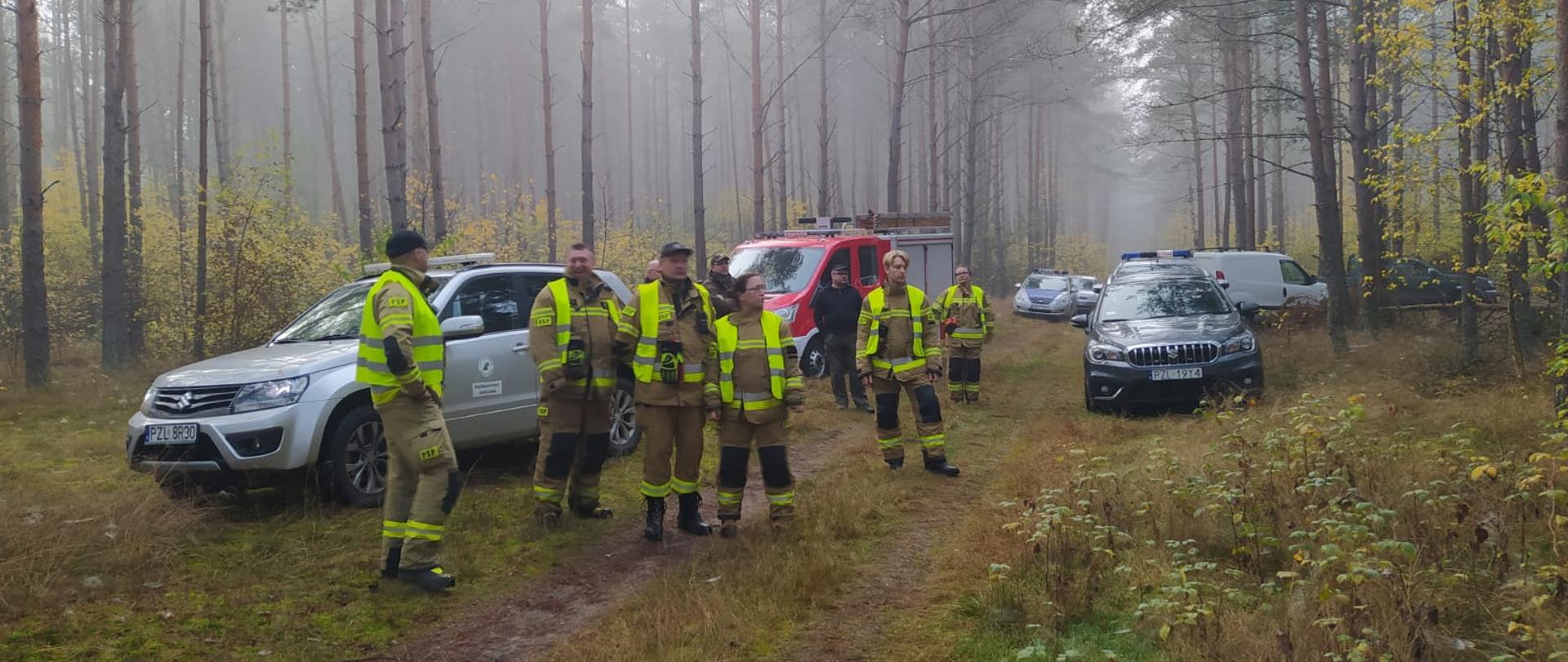 Strażacy w gotowości do podjęcia poszukiwań