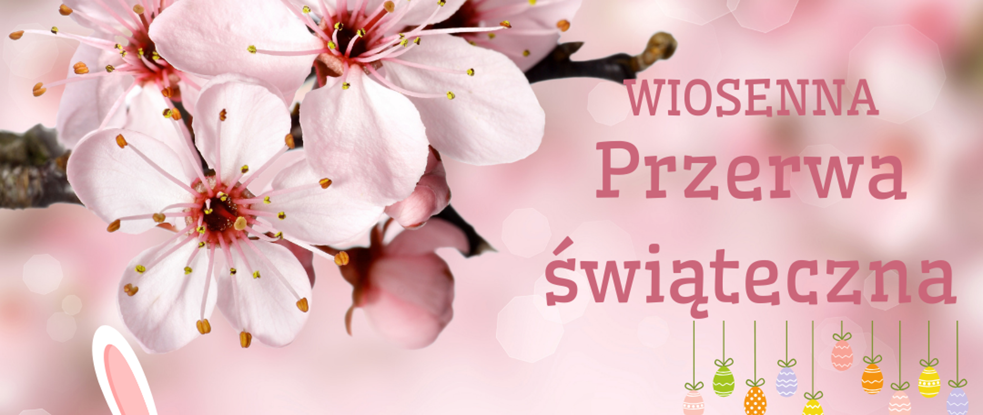 Różowe tło i różowe kwiaty magnolie, na dole biały zajączek,różowo zielone napisy 