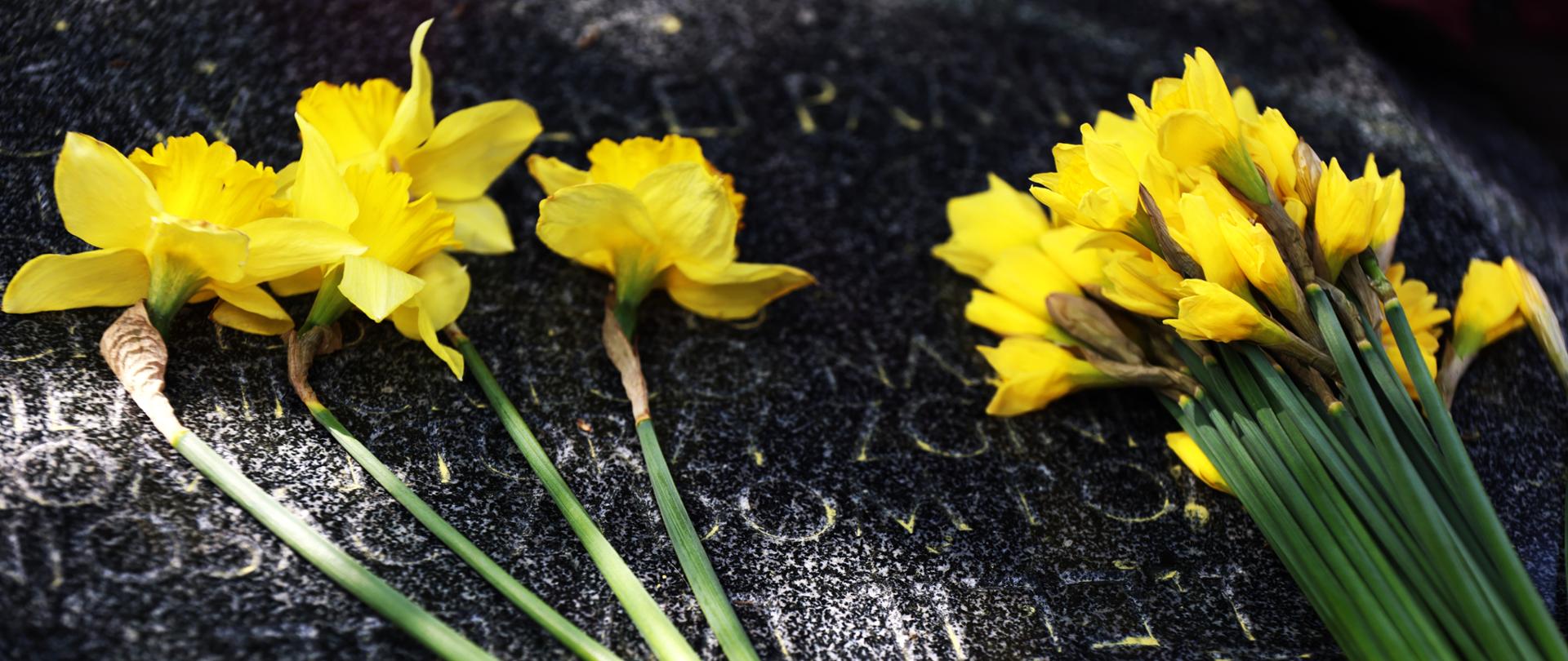 82. rocznica wybuchu powstania w getcie warszawskim