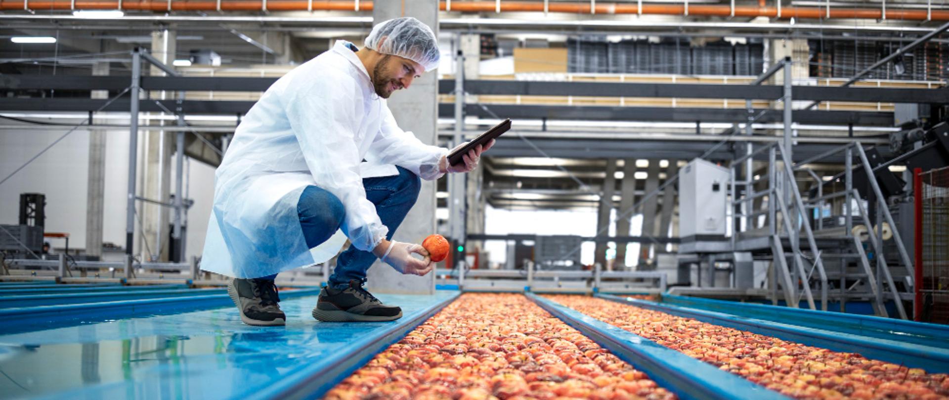 Ekspert badający żywność podczas produkcji