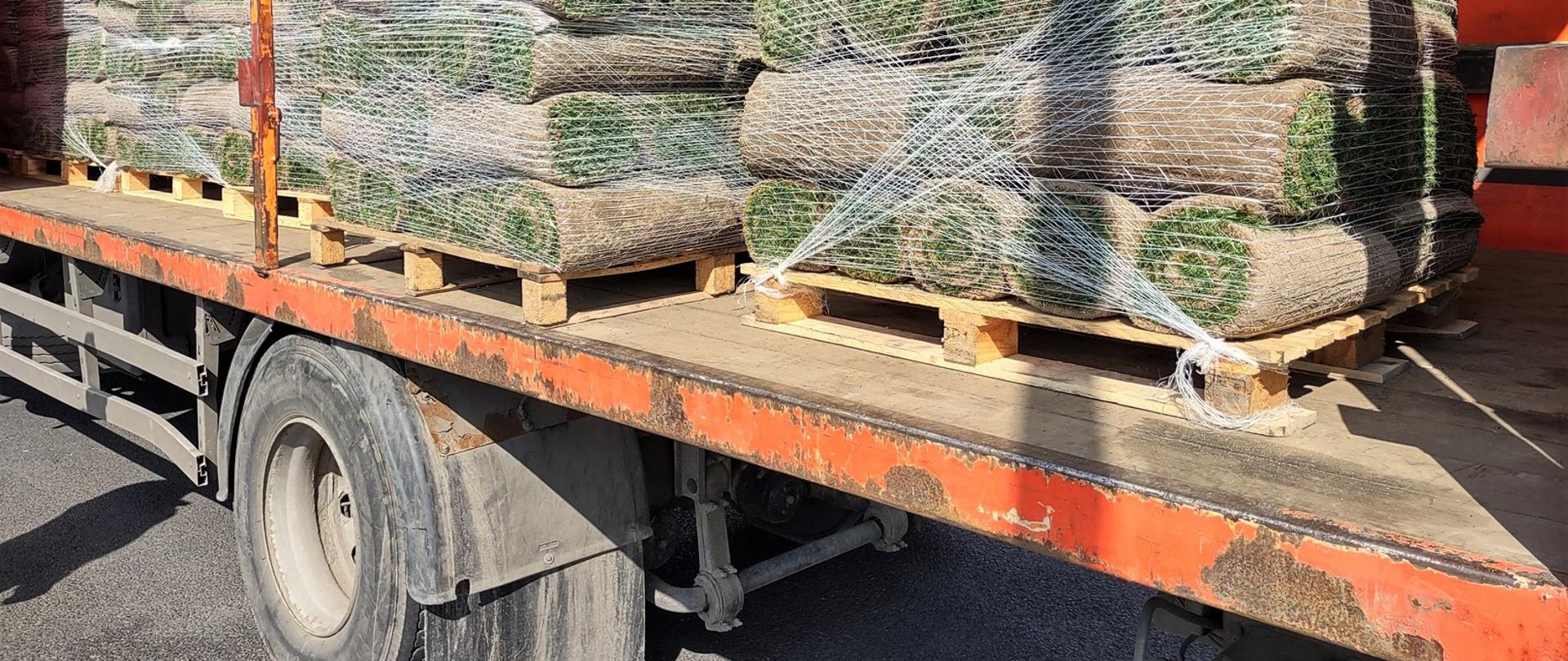 Trawy w rolkach było zdecydowanie za dużo