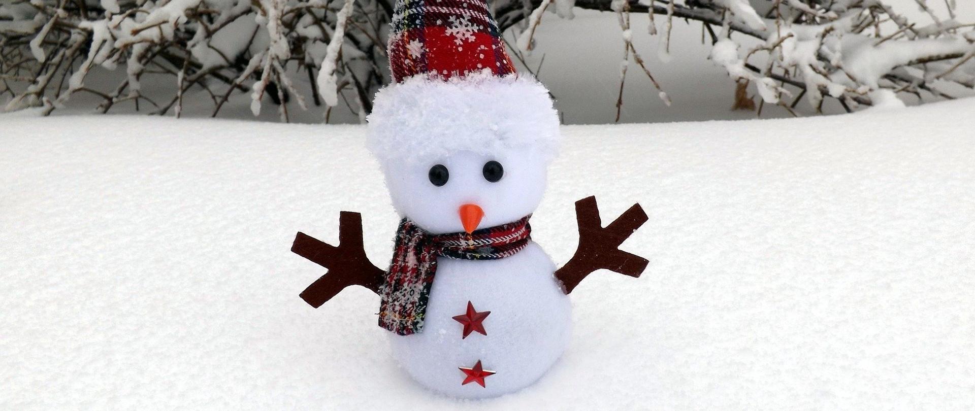 zdjęcie bałwanka śniegowego w zimowej scenerii