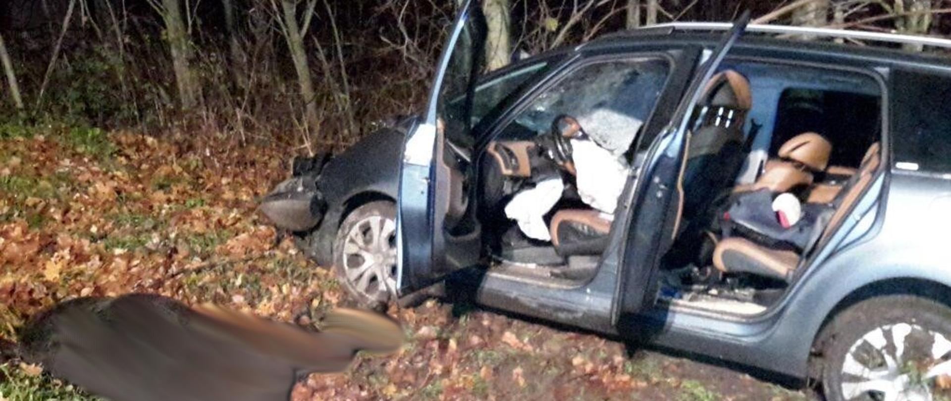 Rozbity samochód osobowy w przydrożnym rowie. Obok samochodu leżą zamazane zwłoki konia. W tle las.