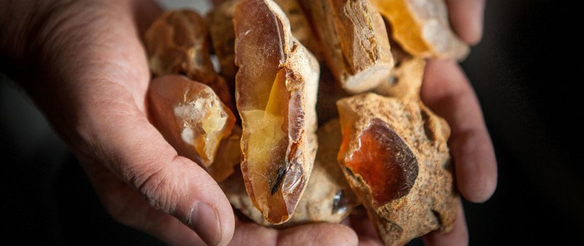 Bursztyn Fot.Mariusz Cieszewski MSZ Flickr