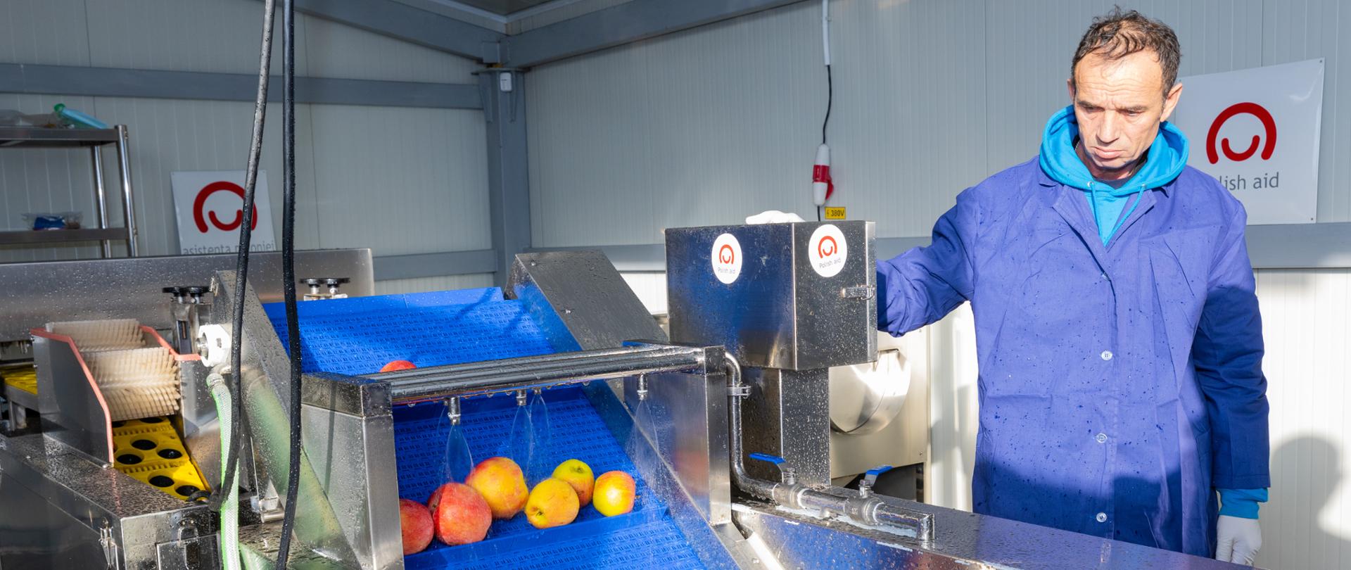 Mężczyzna przygląda się procesowi oczyszczania jabłek w maszynie, która jest oznaczona nalepką z logo polska pomoc