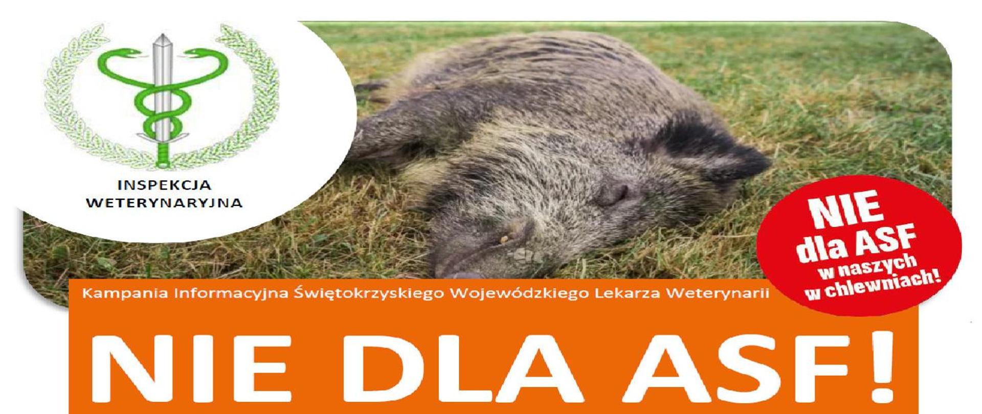 Nie dla ASF