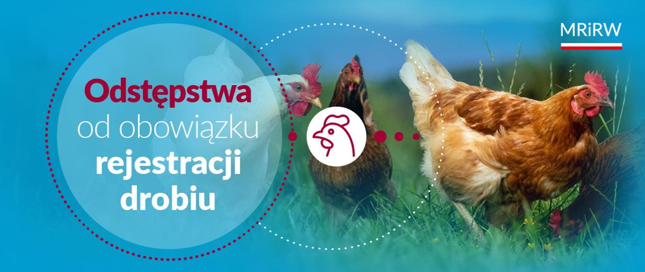 Utrzymywanie drobiu na własne potrzeby – warunki zwolnienia z rejestracji - Ministerstwo Rolnictwa i Rozwoju Wsi - Portal Gov.pl