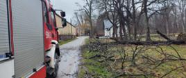 Samochód gaśniczy stoi na drodze, obok znajdują się połamane gałęzie oraz konary.