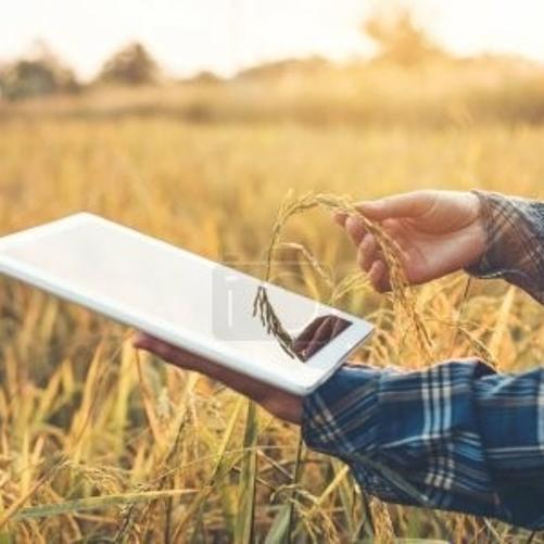 rolnik z laptopem na polu