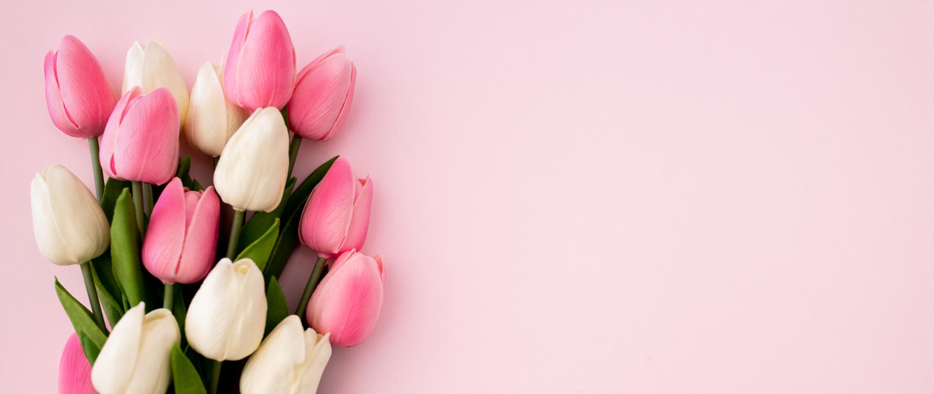po lewej bukiet tulipanów na różowym tle