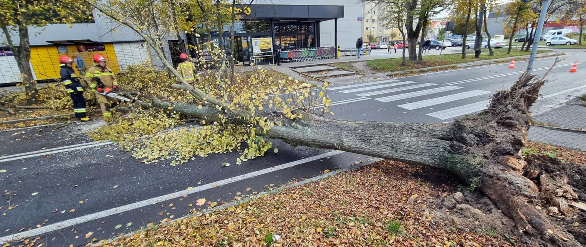Na zdjęciu widoczne są działania strażaków w trakcie trwającej wichury nad powiatem pilskim. Jest dzień. 