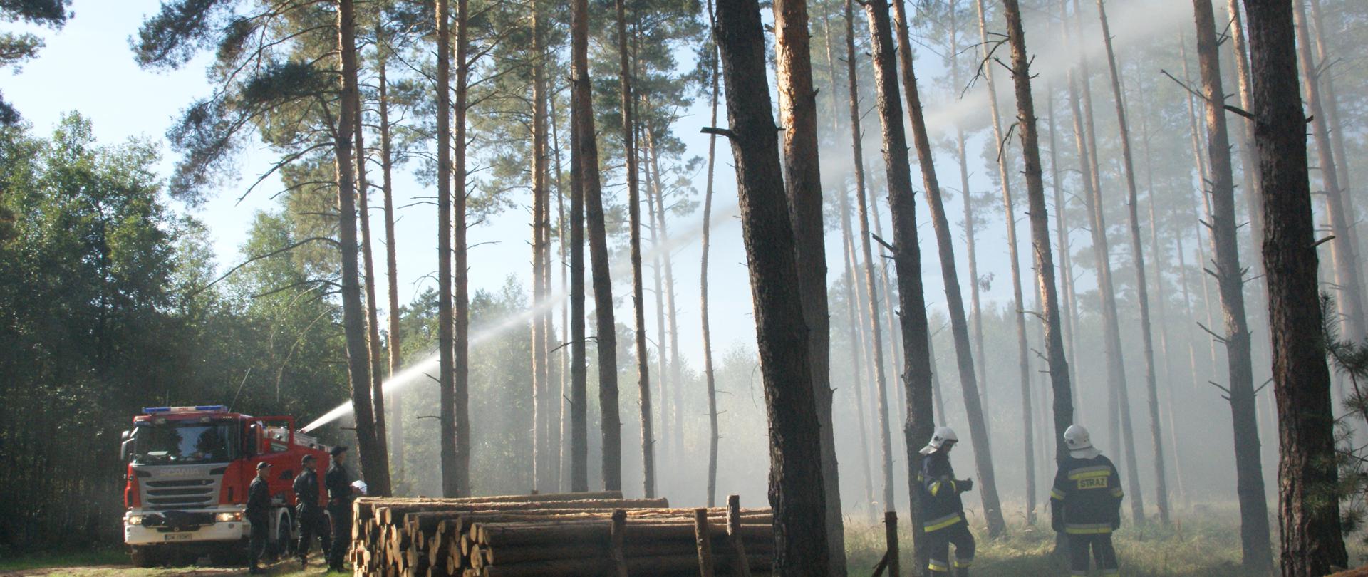 Strażacy w lesie