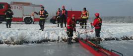 Grupa strażaków przygotowuje się do ćwiczeń na lodzie. Dwóch w skafandrach wypornościowych i czerwonych kaskach stoi przy saniach lodowych. Pozostali na brzegu szykują sprzęt.