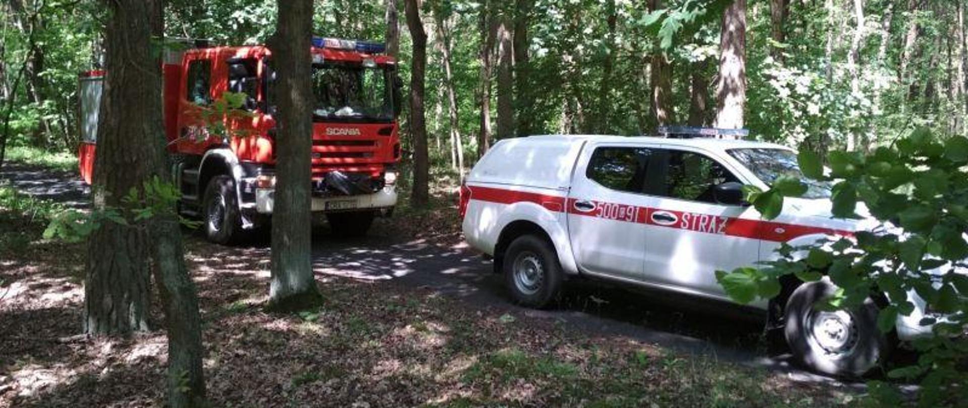 Zdjęcie samochodu gaśniczego i operacyjnego w lesie w trakcie kontroli na obszarach leśnych.