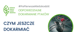 PoPierwszeNieSzkodzić – ptasie dokarmianie