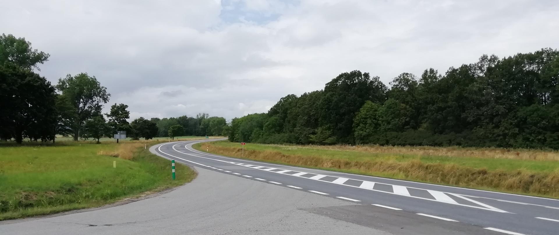 Fragment DK46 na odc. granica województwa - obwodnica Kamienicy Paczków