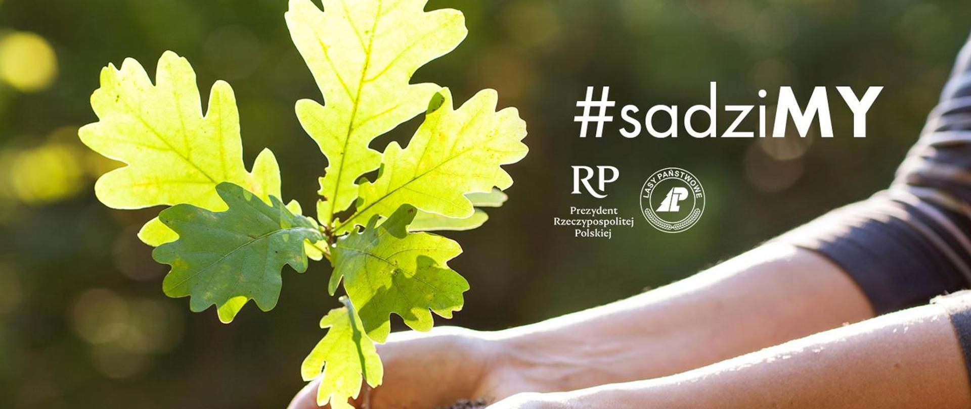 Posadź drzewo z Prezydentem RP i leśnikami