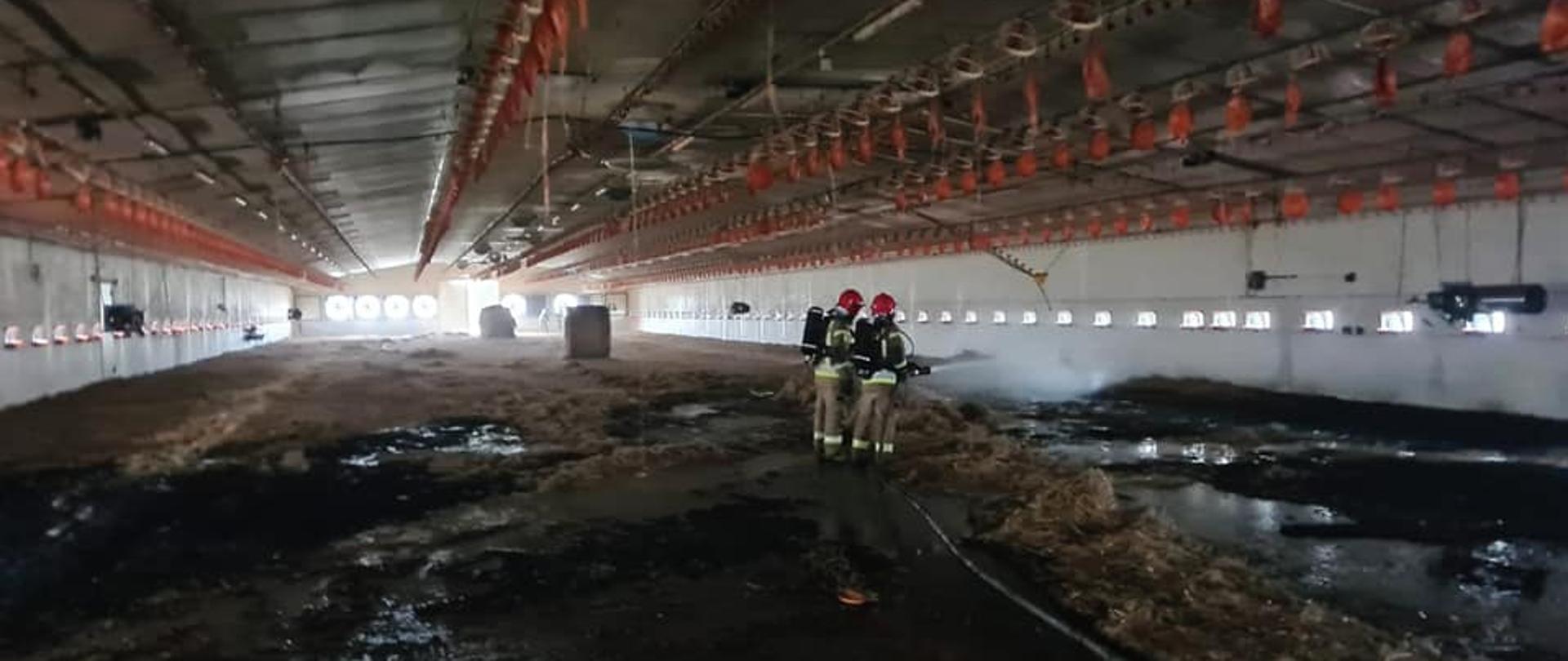 zdj. mł. bryg. Tomasz Rojek