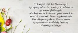 Życzenia z okazji Świąt Wielkanocnych 