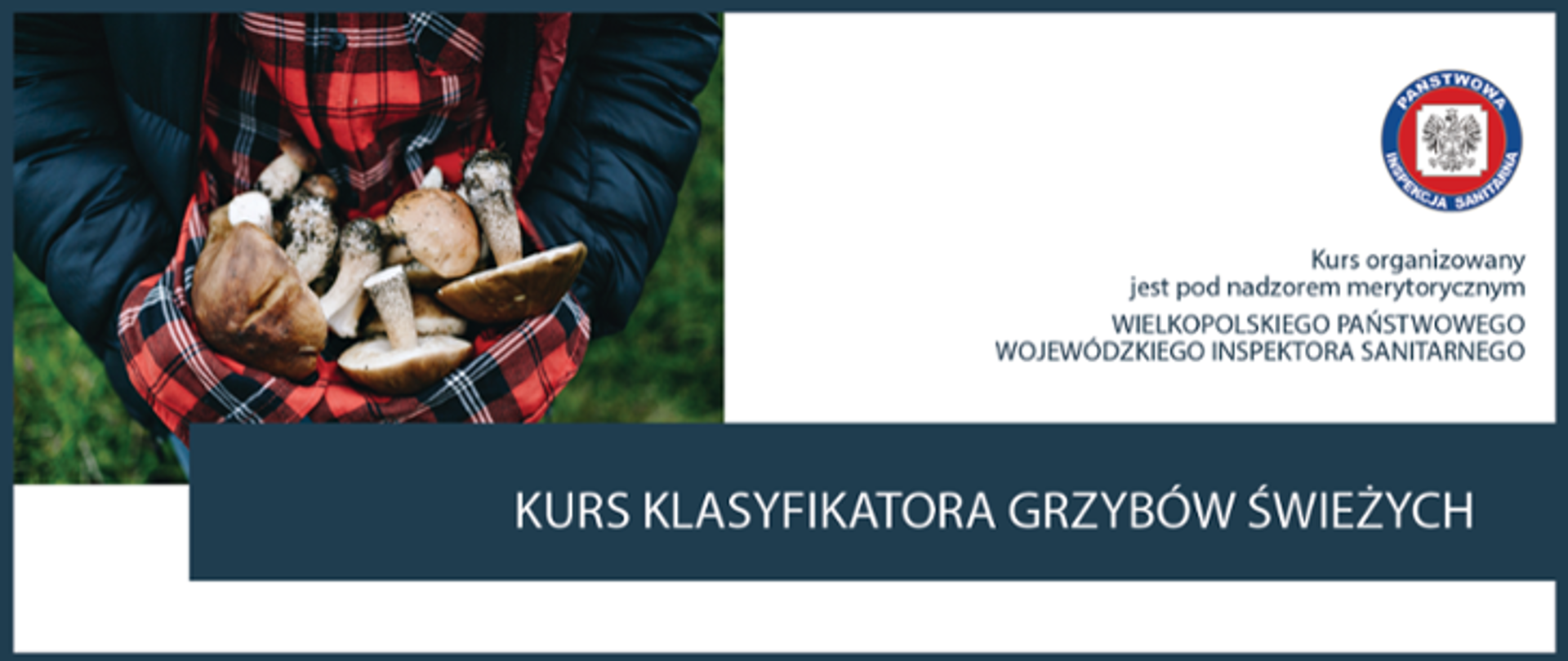 kurs_grzyboznawczy