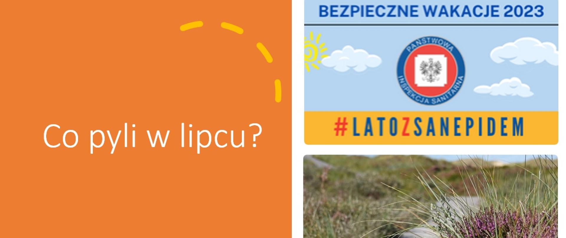 #latozsanepidem Co pyli w lipcu?