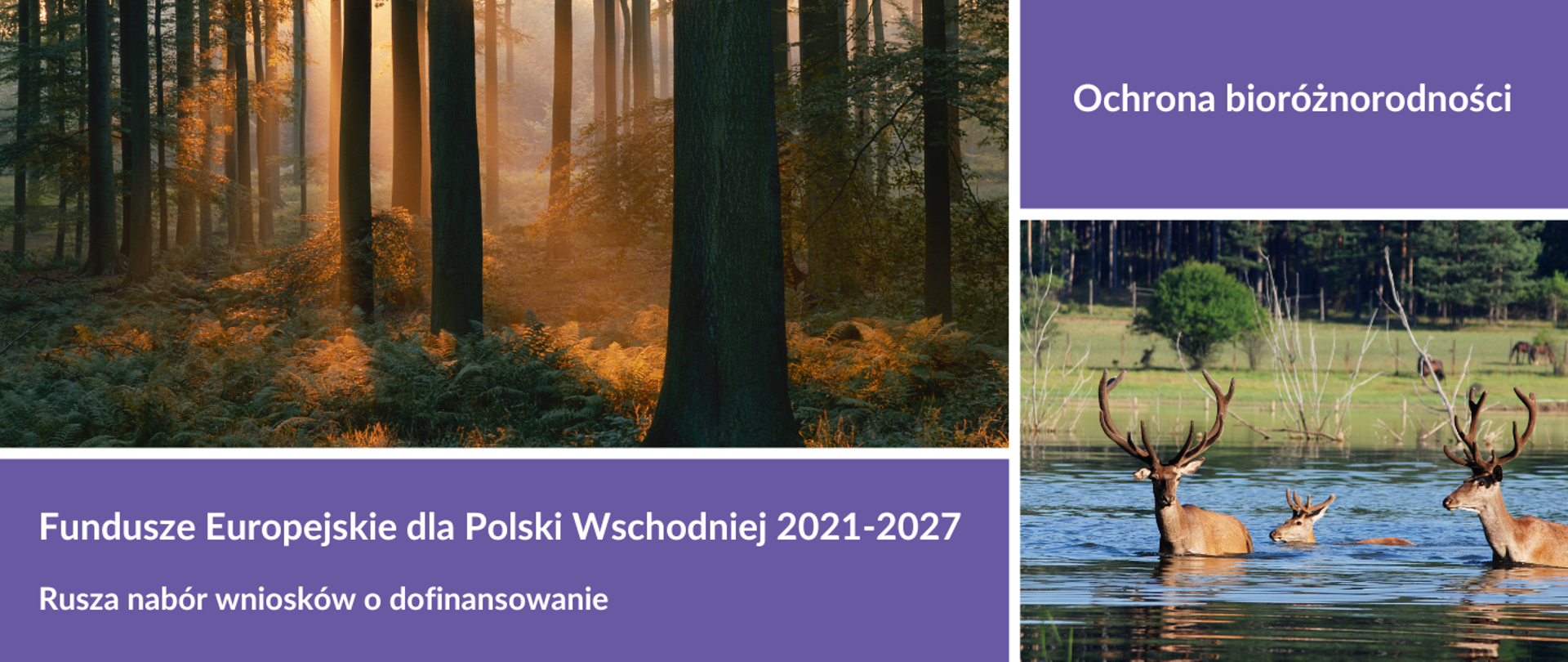 Kolaż dwóch zdjęć przyrodniczych oraz napisy: "Fundusze Europejskie dla Polski Wschodniej 2021-2017, Rusza nabór wniosków o dofinansowanie, Ochrona bioróżnorodności"