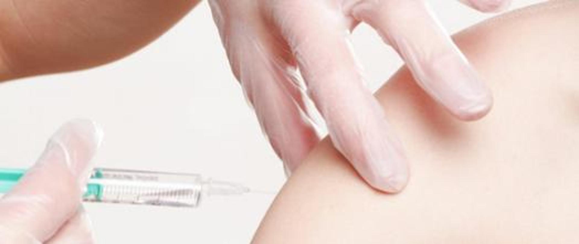  obraz szczepienia ochronne