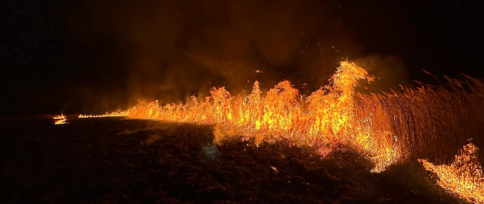 pożar traw, widać ogień, pora nocna 