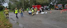 Ćwiczenia służb i Wód Polskich w Gliwicach na potoku Kromparek