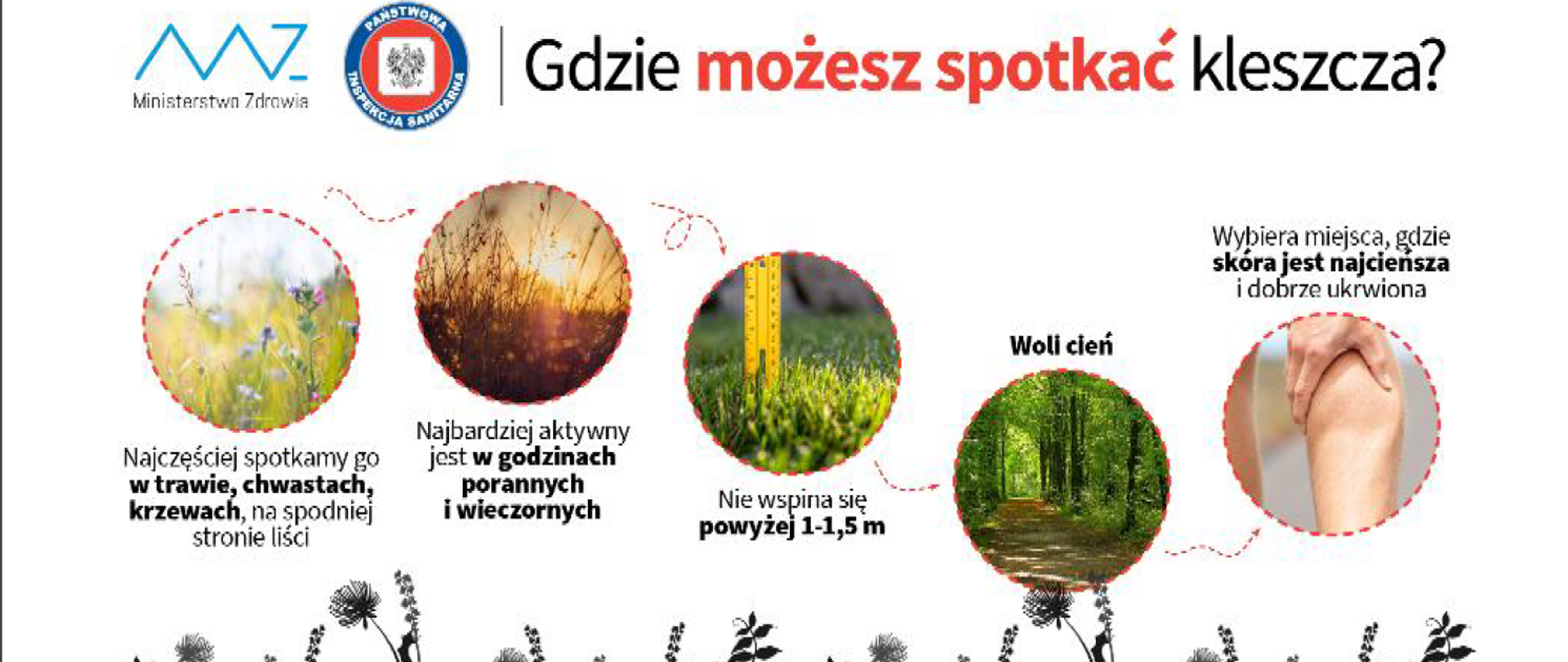 ZAPOBIEGANIE CHOROBOM ODKLESZCZOWYM