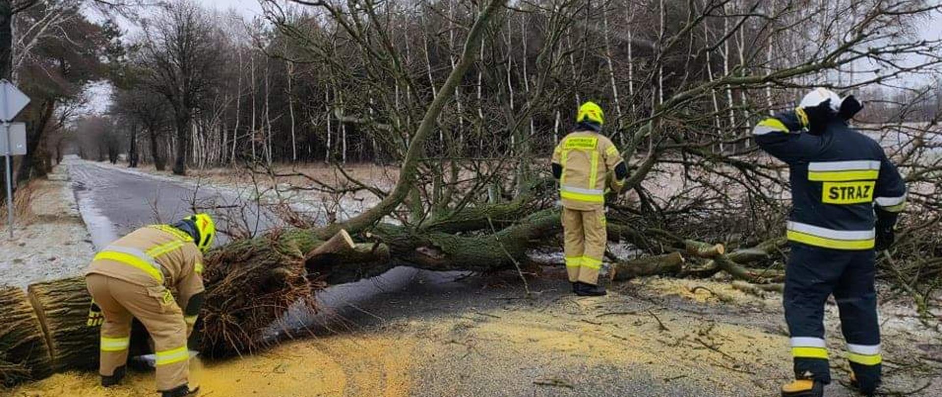 drzewo leży w poprzek drogi dwóch strażaków tnie piłami spalinowymi drzewo udrażniając ruch w oddali lasek