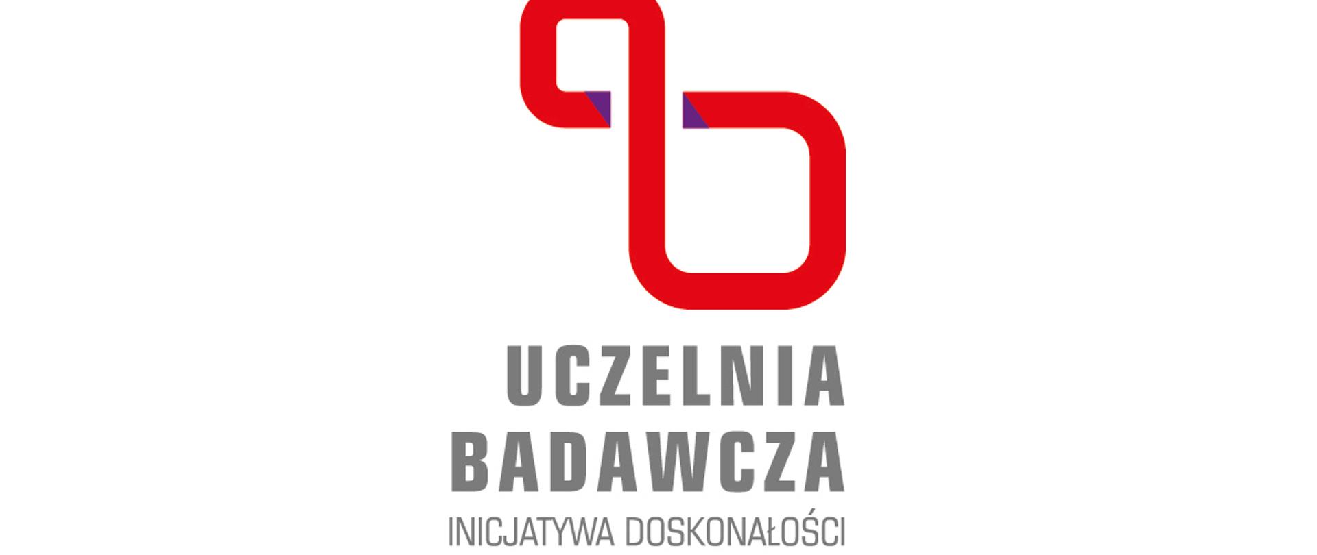 Logo IDUB