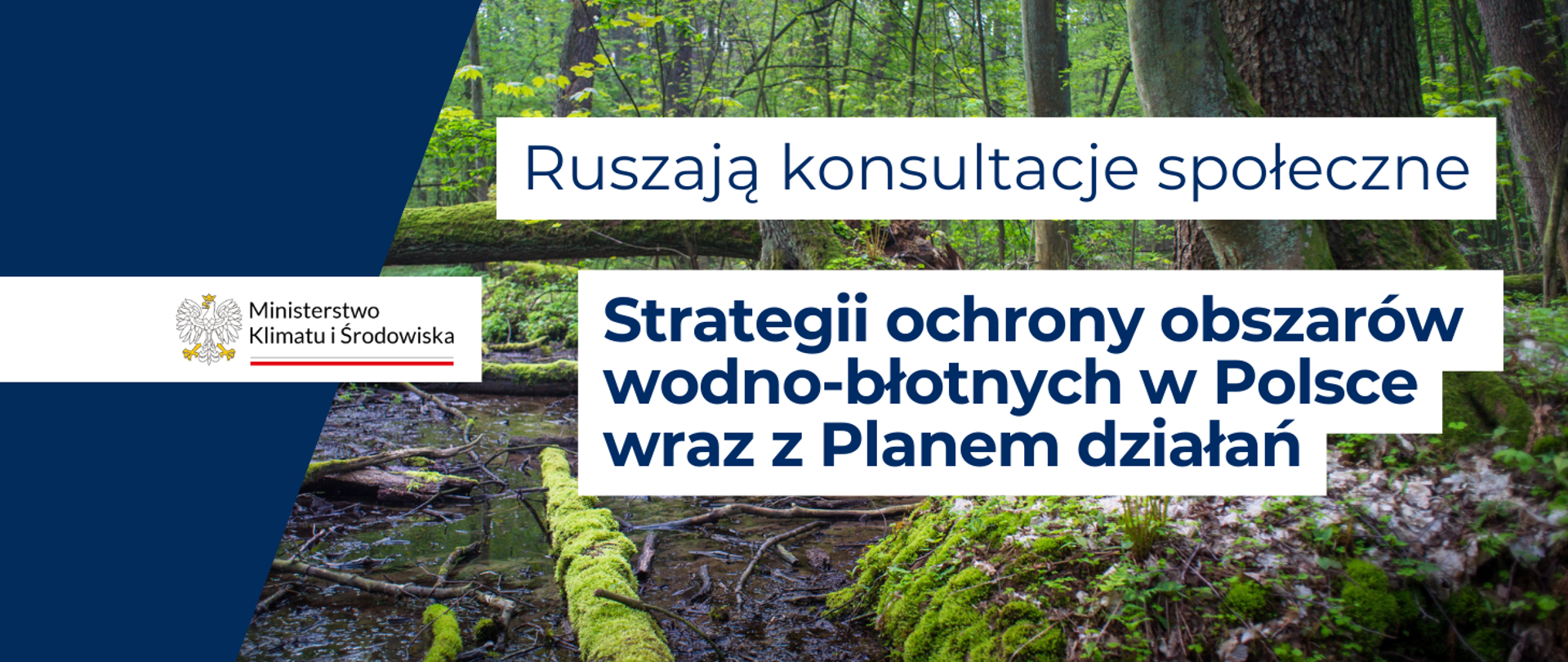 Konsultacje społeczne Strategii ochrony obszarów wodno-błotnych wraz z Planem działań.