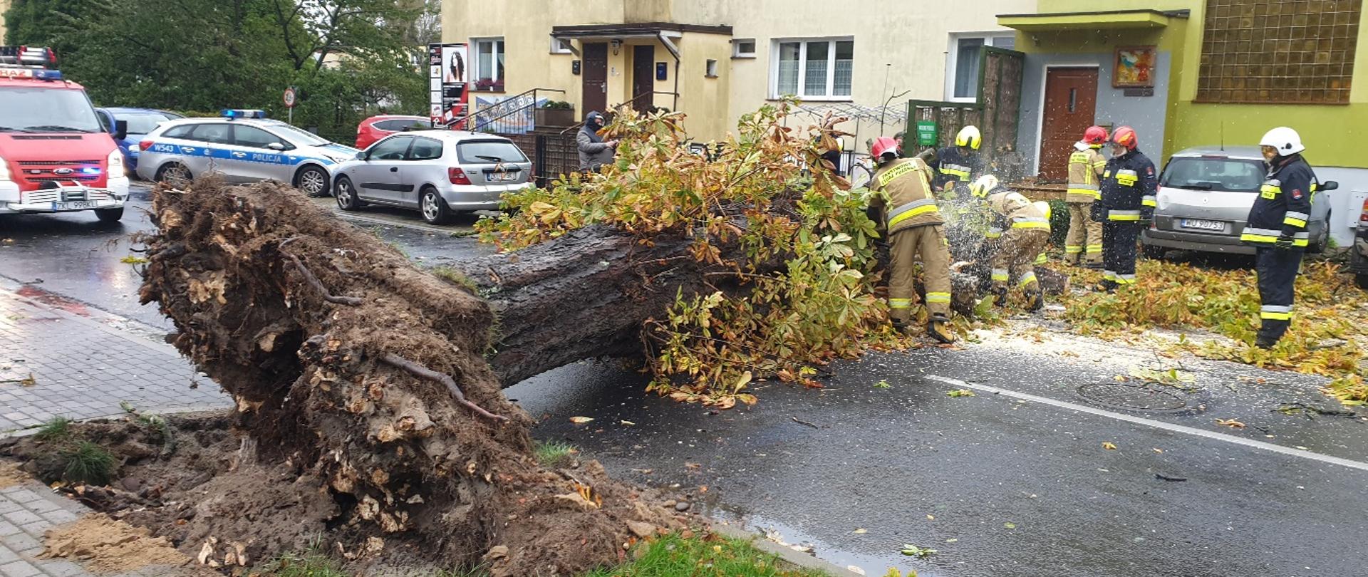 Centralnie na zdjęciu widać duży pień drzewa przewrócony w poprzek drogi. U dołu po lewej stronie widać wyrwany z ziemi system korzeniowy drzewa. W oddali po lewej stronie stoją zaparkowane na jezdni samochody straży pożarnej i policji. Między powalonym drzewem a radiowozem stoi na chodniku zaparkowany samochód osobowy. Przy przewróconym drzewie, w jego górnej części stoi sześciu strażaków. Dwóch z nich pilarką tnie drzewo, widać unoszące się w powietrzu wióry, które opadają na jezdnię. Za strażakami wzdłuż chodnika rozciąga się budynek mieszkalny z trzema klatkami wejściowymi. Po prawej stronie przy budynku stoi jeszcze jeden samochód osobowy.