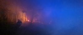 Zdjęcie przedstawia pożar lasu oraz strażaka. Na zdjęciu widać również płomienie oraz dym. Pora nocna. 