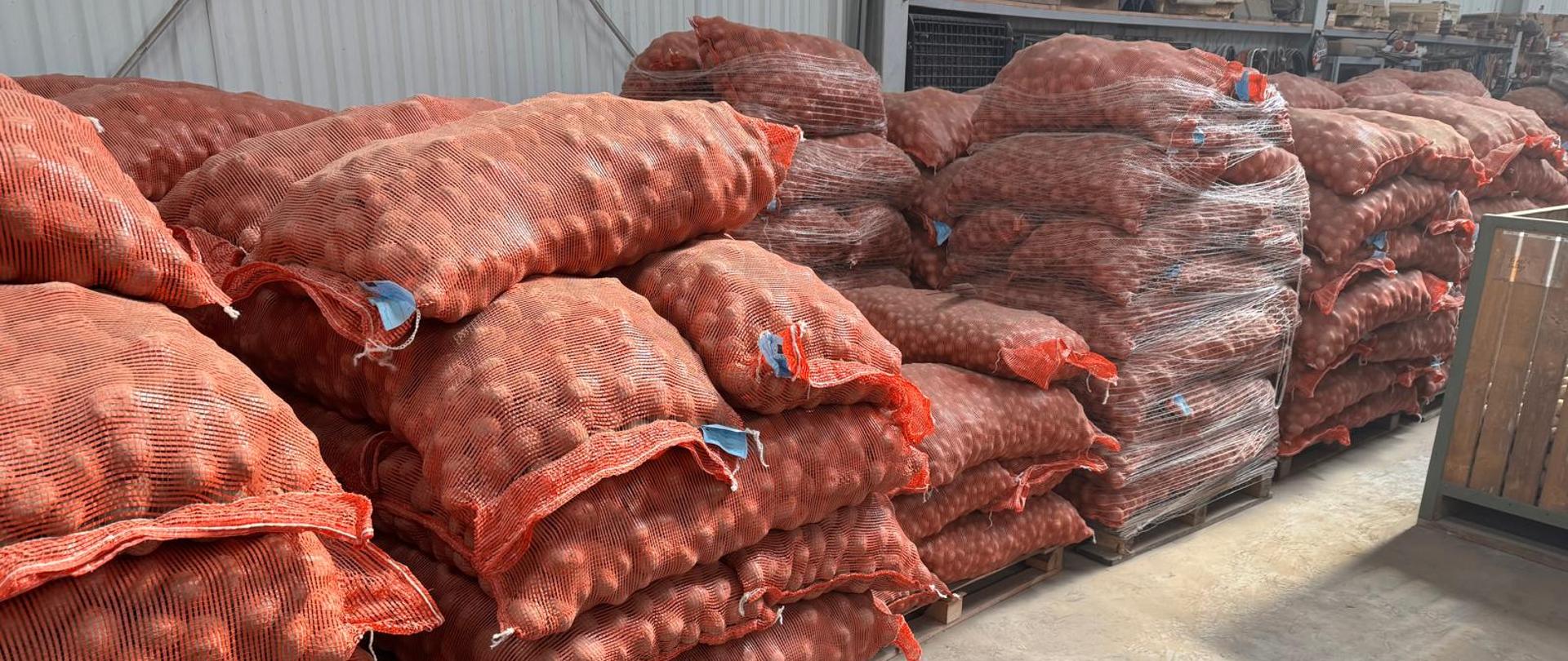 Zdjęcie przedstawia worki z sadzeniakami ziemniaka z załączonymi paszportami