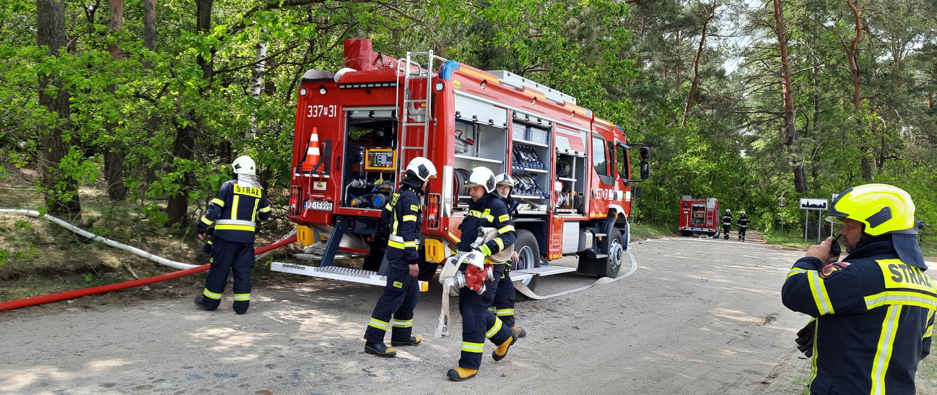ĆWICZENIA NA OBSZARACH LEŚNYCH
