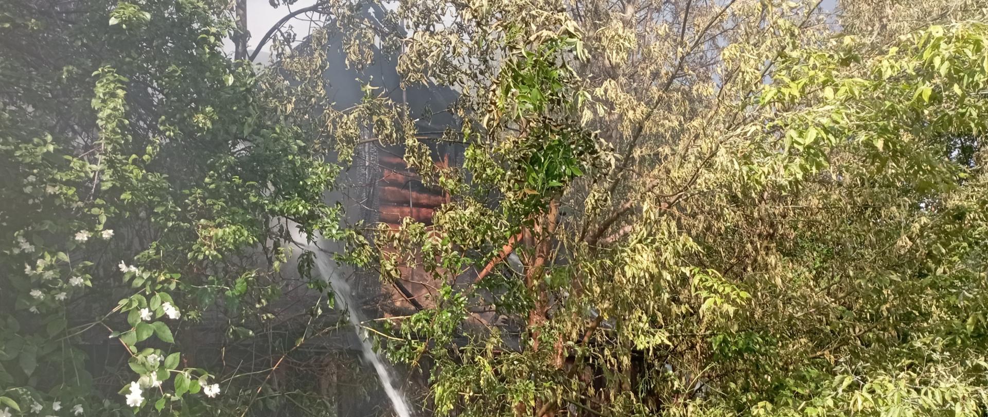 Na zdjęciu pokazano fragment ukrytego w zaroślach domu. Centralnie widać strumień wody podawany na pożar. 