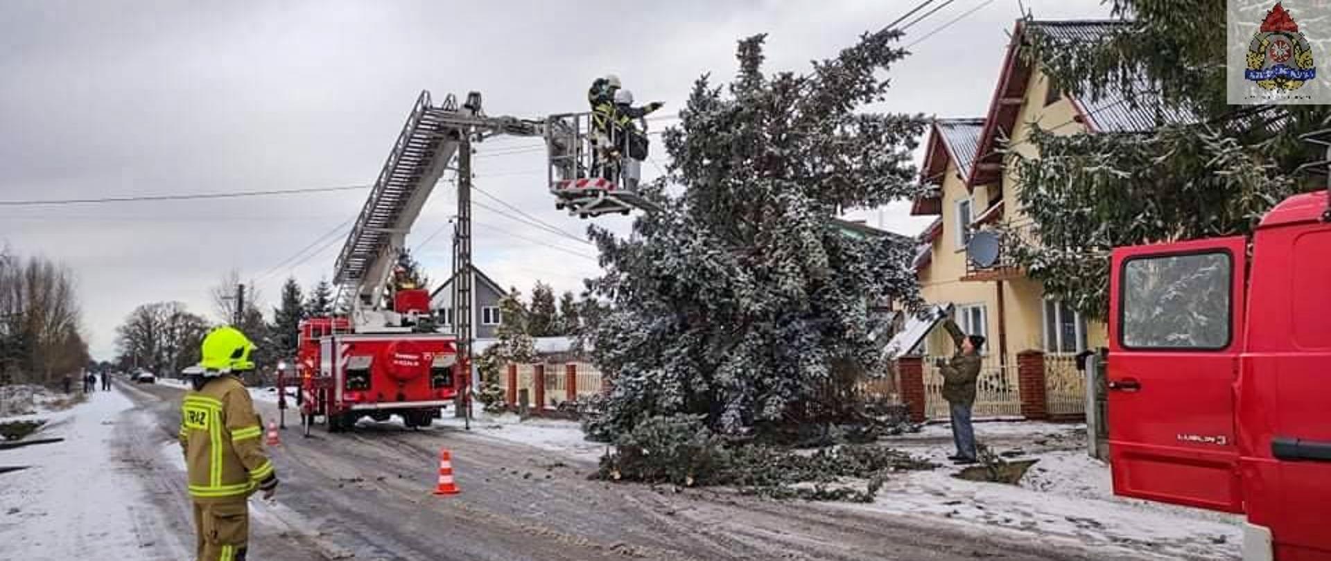 na zdjęciu strażacy usuwają powalone drzewo z linii energetycznej stojąc w kosztu podnośnika hydraulicznego, pojedynczy strażak stoi i blokuje ruch na ulicy w tle budynki droga i drzewa